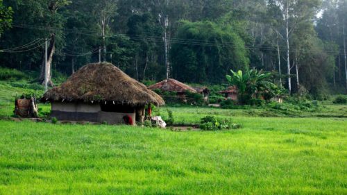 Things To Do In Coorg