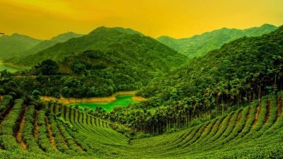 Bangalore Mysore Ooty 4 Nights 5 Days